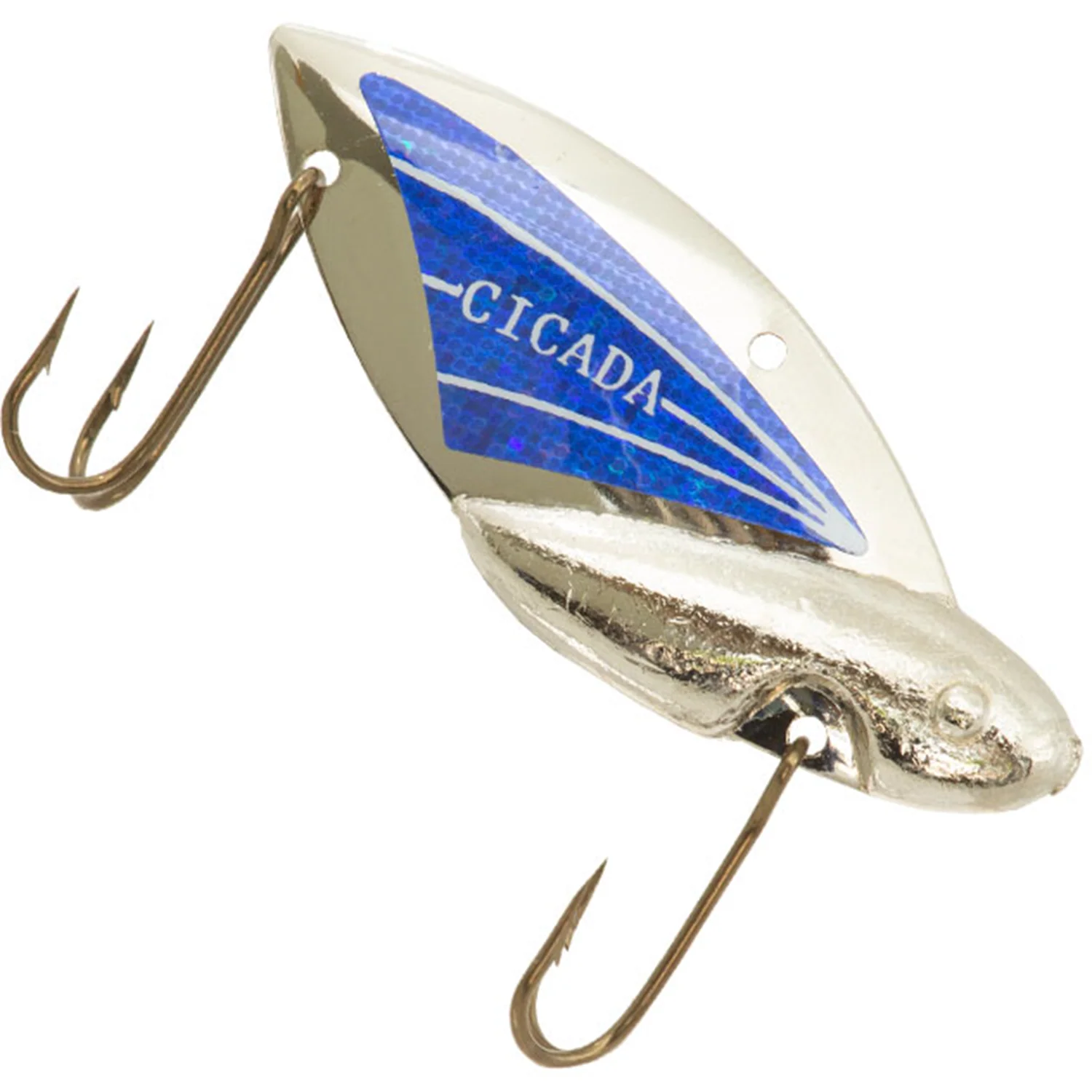 Reef Runner Cicada - Image 10