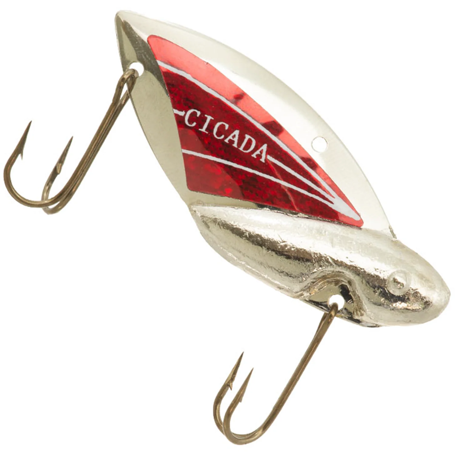 Reef Runner Cicada - Image 11