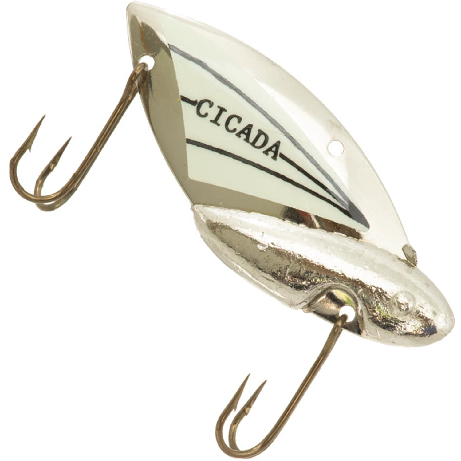 Reef Runner Cicada - Image 13