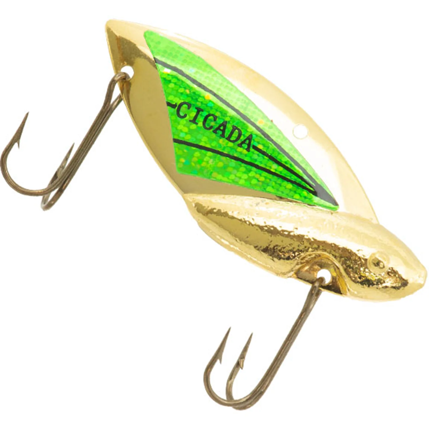 Reef Runner Cicada - Image 16