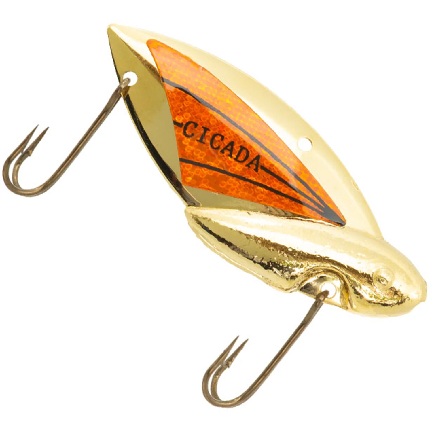 Reef Runner Cicada - Image 17