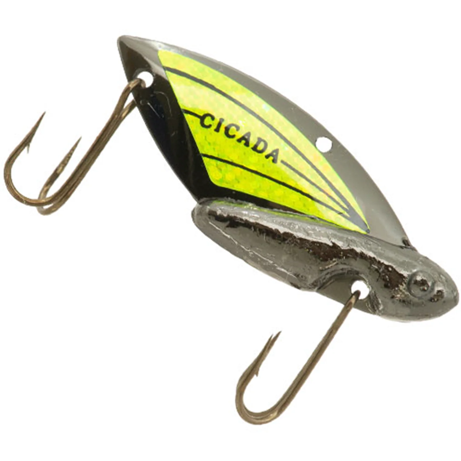 Reef Runner Cicada - Image 18