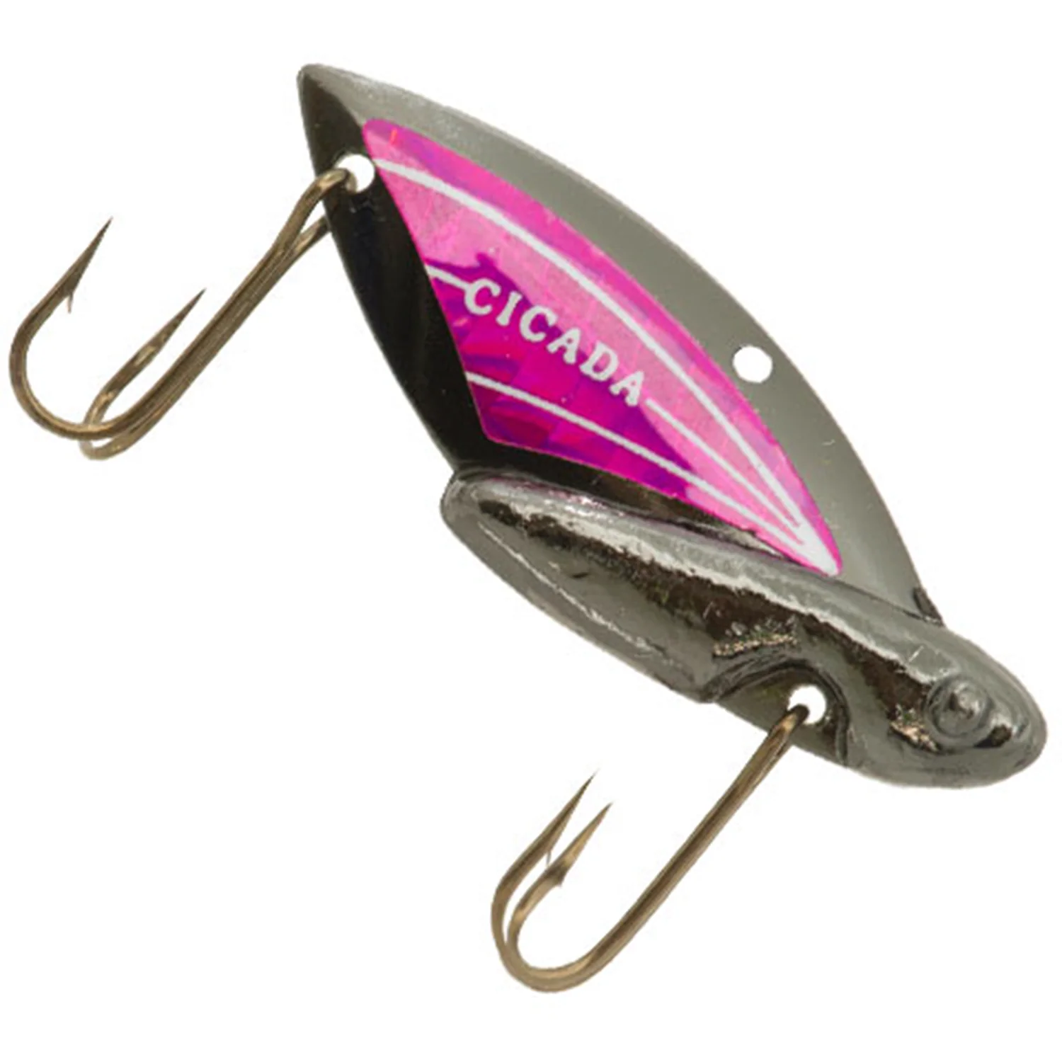 Reef Runner Cicada - Image 19