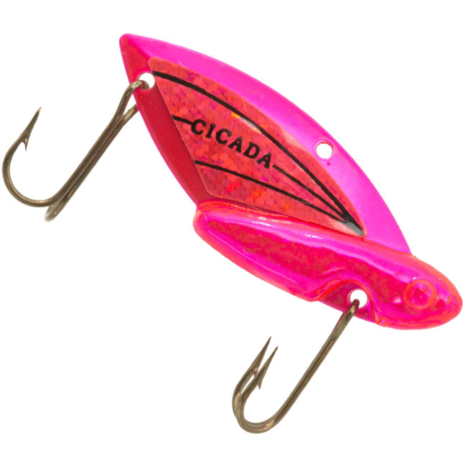 Reef Runner Cicada - Image 4