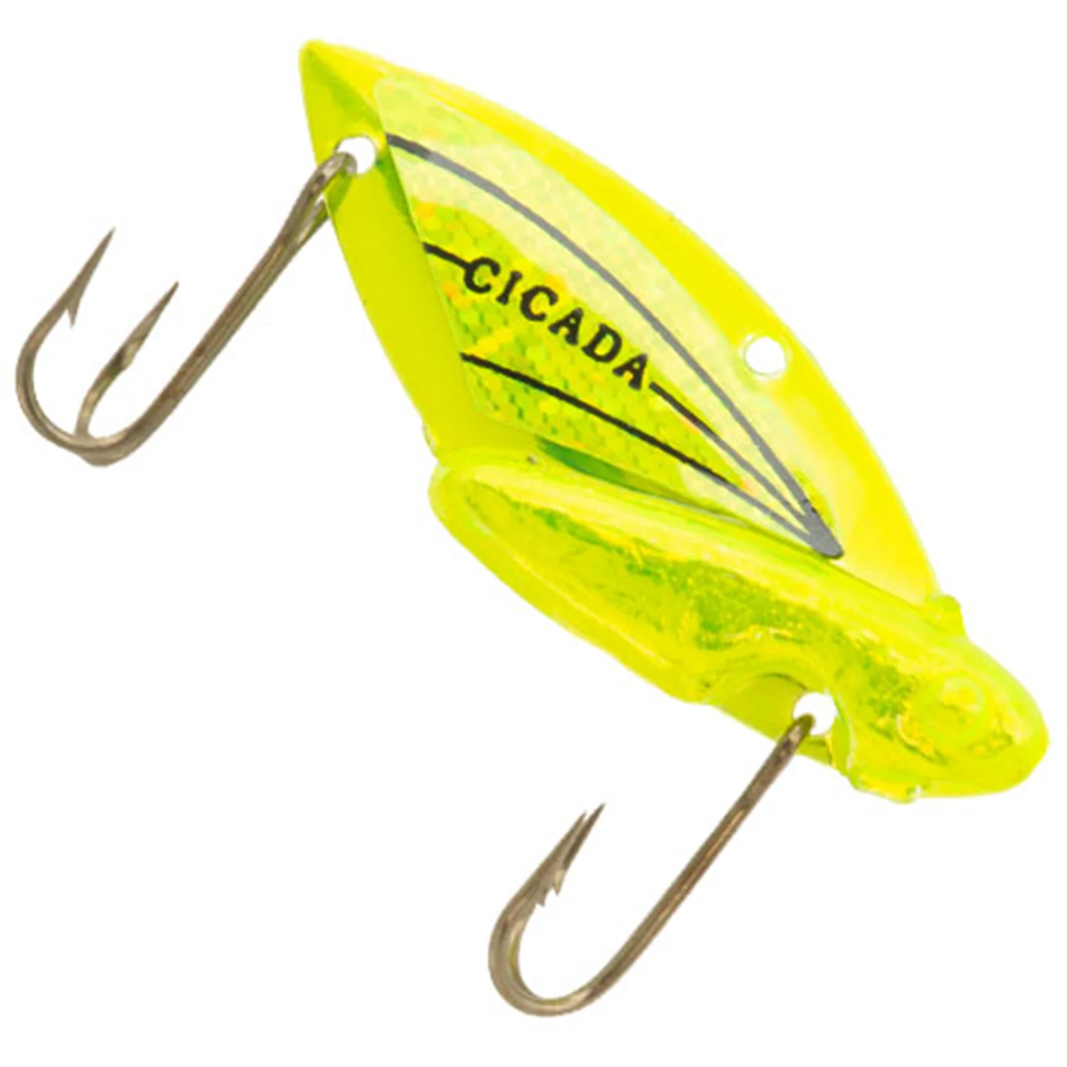 Reef Runner Cicada - Image 5