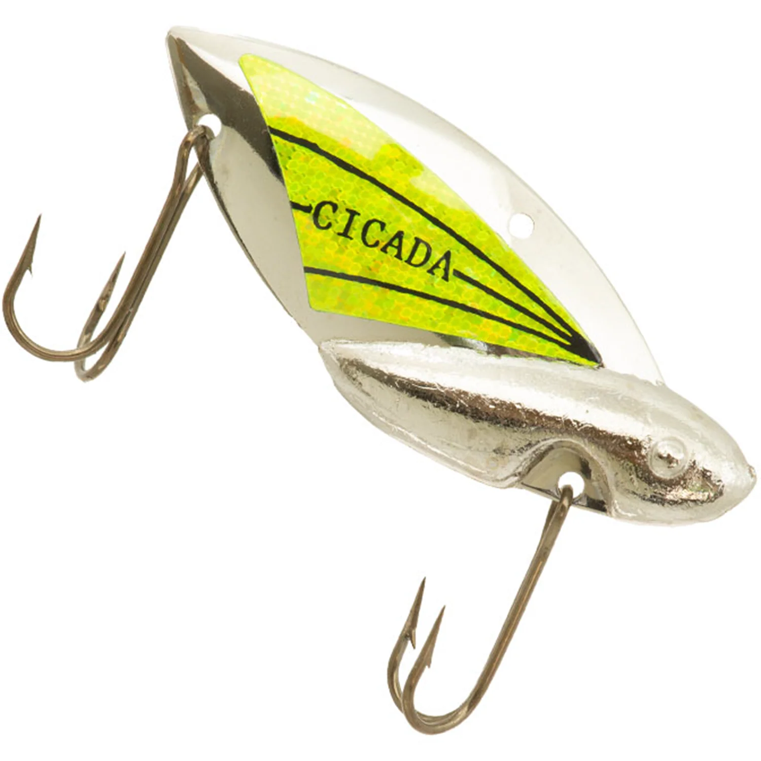 Reef Runner Cicada - Image 7